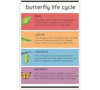 EKFBQBGW Monarch Butterfly Life Cycle Poster, Complete Metamorphosis Science Chart for Classroom, Biology Teacher Resources for Middle School Framed,12x18inch(30x45cm)