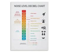 EKFBQBGW Sound Level Decibel Chart Poster Noise Visual Guide for Classroom Behavior Homeschool Learning Decor Framed,12x18inch(30x45cm)