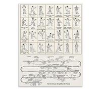 EKFBQBGW Tai Chi for Beginners Poster Introduction to Basic Movements and Forms Practice Wall-Art Framed,12x18inch(30x45cm)