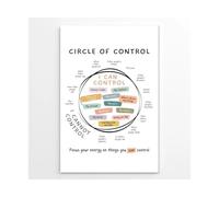 EKFBQBGW What I Can and Cannot Control Poster Circle of Control Chart Growth Mindset Mental Health Decor for Classroom School Counselor Office Calming Wall-Art Framed,08X12inch(20X30cm)