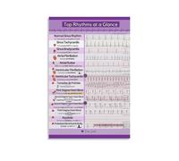 Ekg And Ecg Rhythms Medical Vintage Style Poster Set - Wall Decor, Aesthetic Canvas Painting for A Cozy Homer 20x30inch(50x75cm)