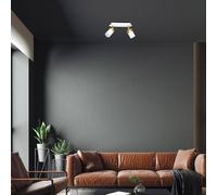 Eko-Light Joker ceiling spotlight, white/gold, 2-bulb