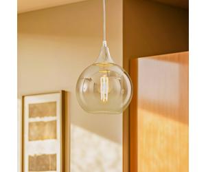 Eko-Light Monte pendant light in glass, 1-bulb, silver