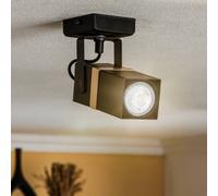 Eko-Light Vidar ceiling spotlight, black, 1-bulb