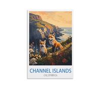 EKOAW Channel Islands National Park California Vintage Travel Posters Canvas Print for Living Room, Bedroom, Dorm, Home, Office Wall Decoration 40x50cm