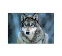 EKoKim Grey Wolf Wild Animal Face Portrait Nature Photo Poster Poster Decorative Painting Canvas Wall Posters And Art Picture Print Modern Family Bedroom Decor Posters 16x24inch(40x60cm)