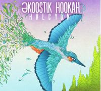 Ekoostik Hookah - Halcyon