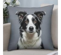 EKYOSHCZ 2 Packs Decorative Throw Pillow Covers 16"x16" Square Pillowcase Covers Border Collie Modern Farmhouse Soft Cushion Cover for Couch Bed Living Room Home Decor Pillow Case