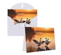 EKYOSHCZ Blank Greeting Cards with Envelopes Seagulls by the Lake at Sunset Blank Birthday Card for Mother's Day Christmas Halloween Wedding Any Occasion