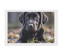 EKYOSHCZ Diamond Painting Kits for Adults DIY Full Drill Diamond Art Kits for Beginners Black Labrador Puppy Round Drill Paint with Diamond Pictures Gem Art for Home Wall Decor 8"x12"