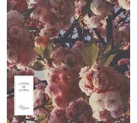 El Buho - Camino de Flores [VINYL]