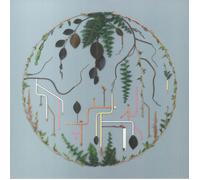 EL BUHO/VARIOUS - Tributaries Vol 2 - Vinyl (LP + insert)