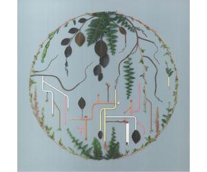 EL BUHO/VARIOUS - Tributaries Vol 2 - Vinyl (LP + insert)