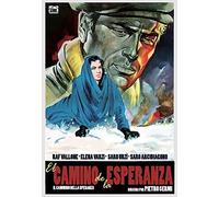 El Camino De La Esperanza [DVD]