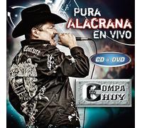 El Compa Chuy - Pura Alacrana En Vivo