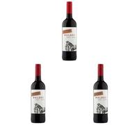 El Companero Malbec Mendoza, Argentinian Red Wine, 1 x 750ml (Pack of 3)