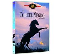 El Corcel Negro (Import Dvd) (2003) Mickey Rooney; Kelly Reno; Teri Garr; Clar