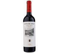 Coto de Imaz Reserva 2019