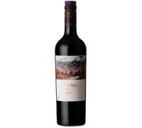 El Esteco 'Cuma' Organic Malbec, Calchaquí Valley, Argentina
