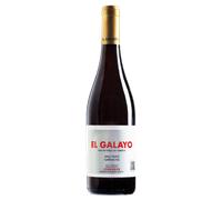 El Galayo Garnacha 2023 - Sociedad Agraria de Cebreros - Soto Manrique