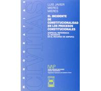 El incidente de constitucionalidad en los procesos constitucionales
