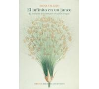 El infinito en un junco by Irene Vallejo 9788417860790 NEW Paperback softback