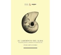 El laberinto del alma: Iconografía, geometría y simbolismo en la catedral de León: 2 (Ursa Maior)