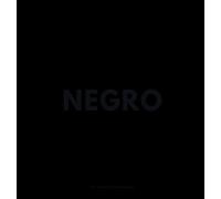 El Libro Negro: 12 (Libros de Colores)