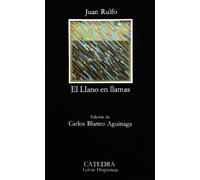 El Llano En Llamas