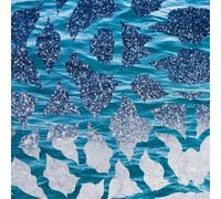 El Nino & The Southern Oscill El Nino & the Southern Oscill (Vinyl) (US IMPORT)