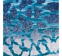 El Nino & the Southern Oscillations