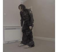 EL PERRO DEL MAR - BIG ANONYMOUS