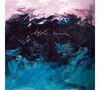 El Primer Vuelo De Las Aves Marinas [VINYL]