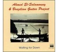 El-Salamouny, Ahmed - Waiting for Dawn [IMPORT]