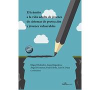 El tránsito a la vida adulta de jóvenes de sistemas de protección y jóvenes vulnerables