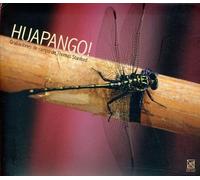 El Trio Huasteco - Huapango