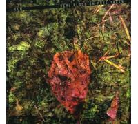 Ela - Real Blood on Fake Trees