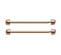 Eladcncmc 2Pcs Watch Strap Screw Tube Rods Friction Pin Clasp Bracelet Fixng Part For Wristwatch Repair Accessory 16/18/20/22mm