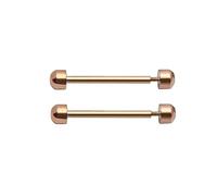 Eladcncmc 2Pcs Watch Strap Screw Tube Rods Friction Pin Clasp Bracelet Fixng Part For Wristwatch Repair Accessory 16/18/20/22mm