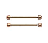 Eladcncmc 2Pcs Watch Strap Screw Tube Rods Friction Pin Clasp Bracelet Fixng Part For Wristwatch Repair Accessory 16/18/20/22mm