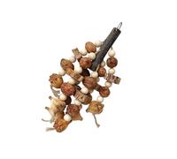 Eladcncmc Small Pet Bird Activity Hanging Chew Toy Teeth Grinding Parrots Parakeets Bird African For Cockatiel Conure Teeth