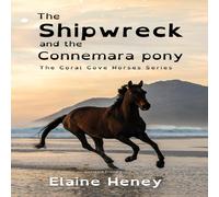 Elaine Heney The Shipwreck & the Connemara Pony - Dyslexia Friendly Paperback Elaine Heney Multicolor
