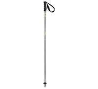 Elan Carbon Rod Poles