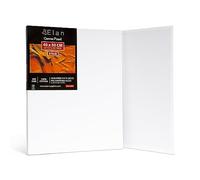 Elan Cotton Canvas Panels for Painting 40x50 CM, 6-Pack Acid-Free Art Canvases for Painting, Triple Primed Blank Canvases for Art, 40x50 Canvas Boards
