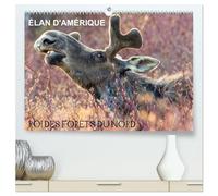 ÉLAN D'AMÉRIQUE - ROI DES FORÊTS DU NORD (Calendrier mural 2026 DIN A2 vertical) calendrier de bureau: Comme un roi dans son royaume, l'orignal ... et aucun autre animal ne viendra le déranger.