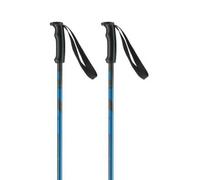 Ski poles Elan Hotrod Bleu 115 cm