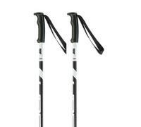 Ski poles Elan Hotrod Blanc 115 cm