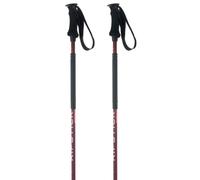 Women's ski poles Elan Ripstick Vert 120 cm