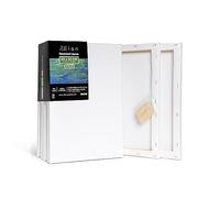 Elan Stretched Canvases 20x30 CM, 6-Pack Art Canvases for Painting 280 GSM, Triple Primed Stretched Canvas for Painting, Small Canvas 20x30 CM