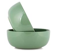 Elanze Designs Bistro Glossy Ceramic 8.5 inch Large Serving Bowls Set of 2 - Perfect for Multiple Everyday Uses: Pasta, Salad, Ramen, Soup, Popcorn, Noodles, Cereal and Mixing Bowls, Sage Green